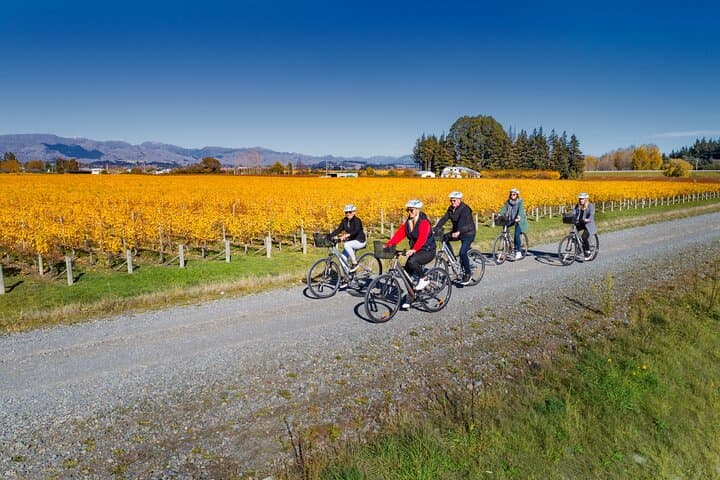 Full-Day Marlborough Wine Region Bike Hire: Self-Guided Cycling & Cellar-Door Trail photo 6