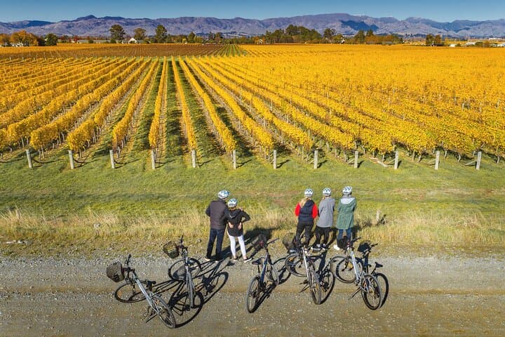 Full-Day Marlborough Wine Region Bike Hire: Self-Guided Cycling & Cellar-Door Trail photo 5