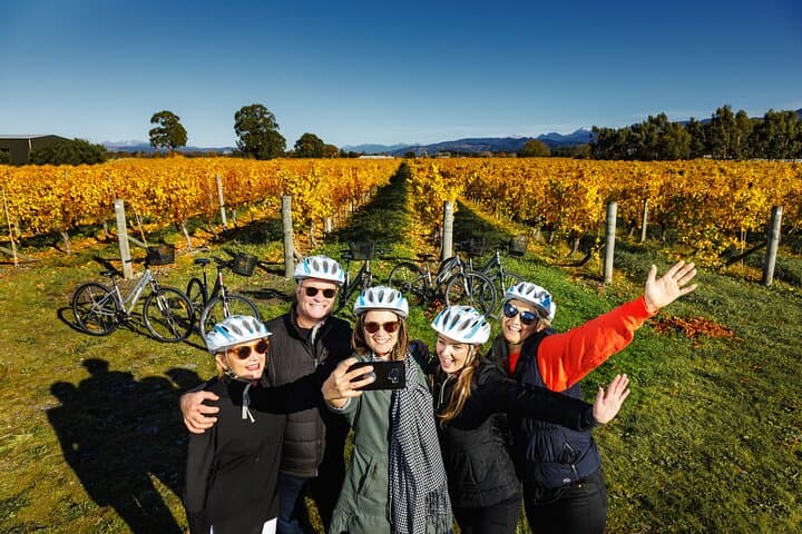 Full-Day Marlborough Wine Region Bike Hire: Self-Guided Cycling & Cellar-Door Trail photo 3