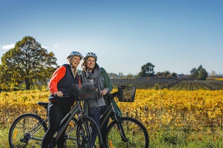 Full-Day Marlborough Wine Region Bike Hire: Self-Guided Cycling & Cellar-Door Trail