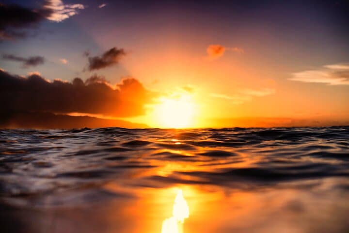Waikiki Glass-Bottom Boat Sunset Cruise from Kewalo Basin photo 6