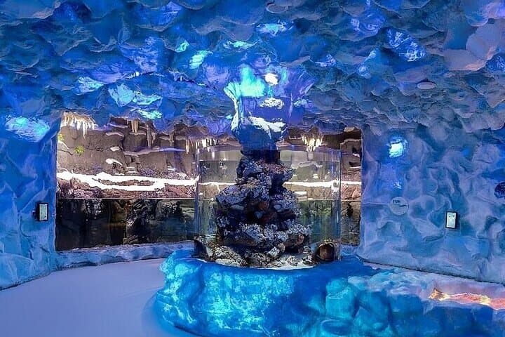 Ferrari World and The National Aquarium Abu Dhabi — Tickets & One-Day Guide photo 5