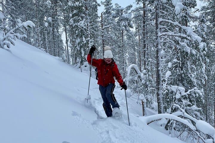 Levi Lakeside Snowshoeing: Forest Trails and Frozen Lake Walks photo 5