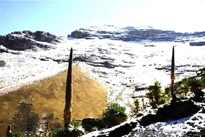 4-Day Simien Mountains Trek: Walia Ibex, Geladas & High-Altitude Views photo 4