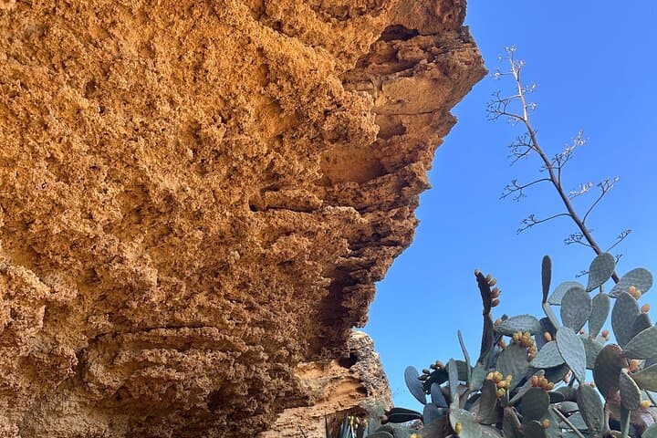Private Agrigento Food & Hidden Gems Tour — Local Guide to Punta Bianca photo 6