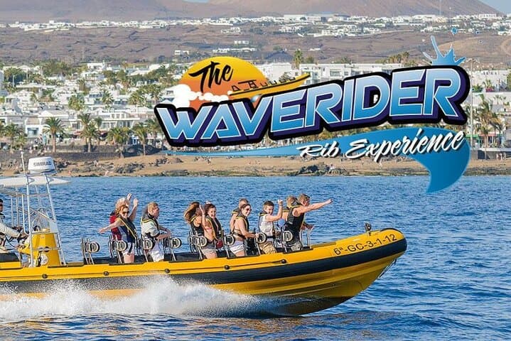 Dolphin Watching and Swim at Papagayo Beach — Speedboat Tour from Puerto del Carmen