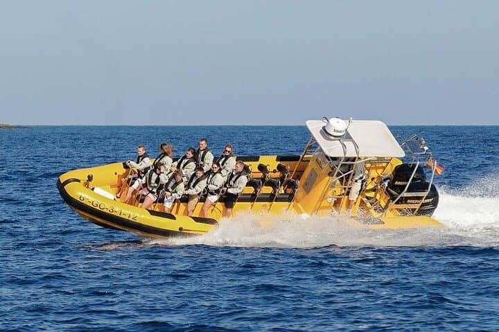 Dolphin Watching and Swim at Papagayo Beach — Speedboat Tour from Puerto del Carmen photo 2