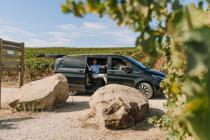 Half-Day Wine Tour Around Évora: Vineyards, Tastings & Regional Snacks