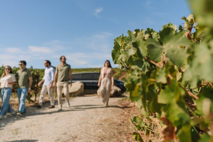 Half-Day Wine Tour Around Évora: Vineyards, Tastings & Regional Snacks photo 2
