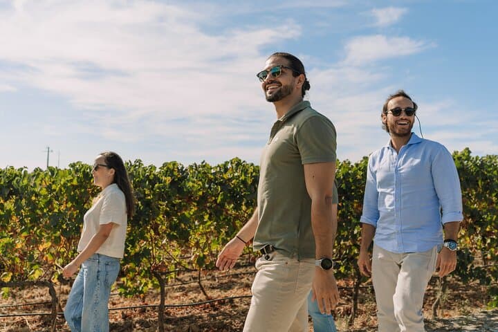 Half-Day Wine Tour Around Évora: Vineyards, Tastings & Regional Snacks photo 3