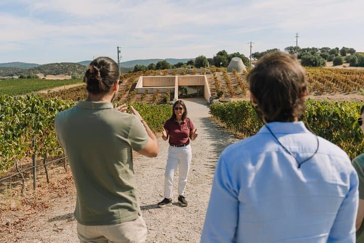 Half-Day Wine Tour Around Évora: Vineyards, Tastings & Regional Snacks photo 4