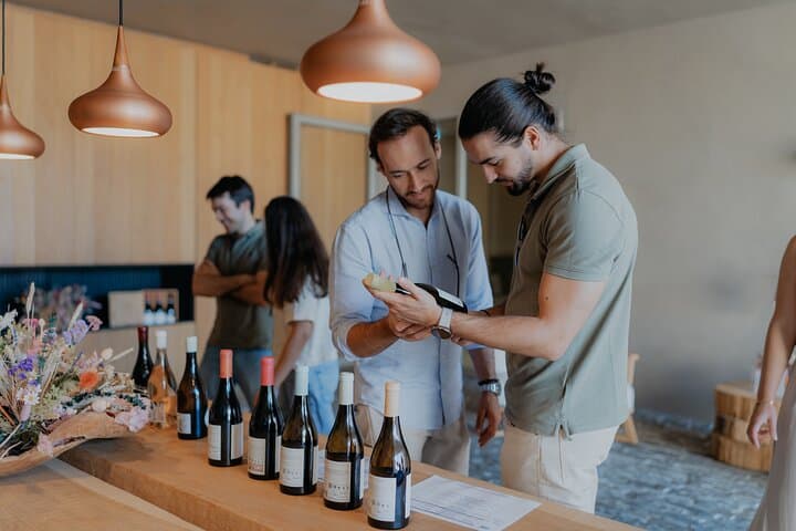 Half-Day Wine Tour Around Évora: Vineyards, Tastings & Regional Snacks photo 5
