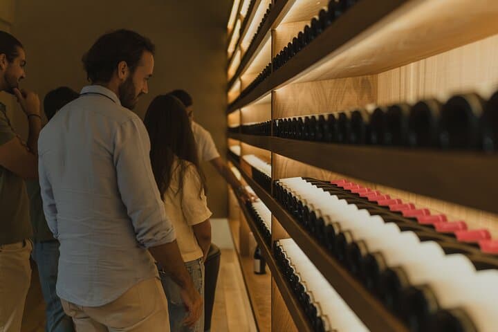 Half-Day Wine Tour Around Évora: Vineyards, Tastings & Regional Snacks photo 6
