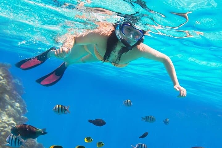 Hurghada Parasailing & Semi‑Submarine Snorkel — Red Sea Combo Adventure photo 6