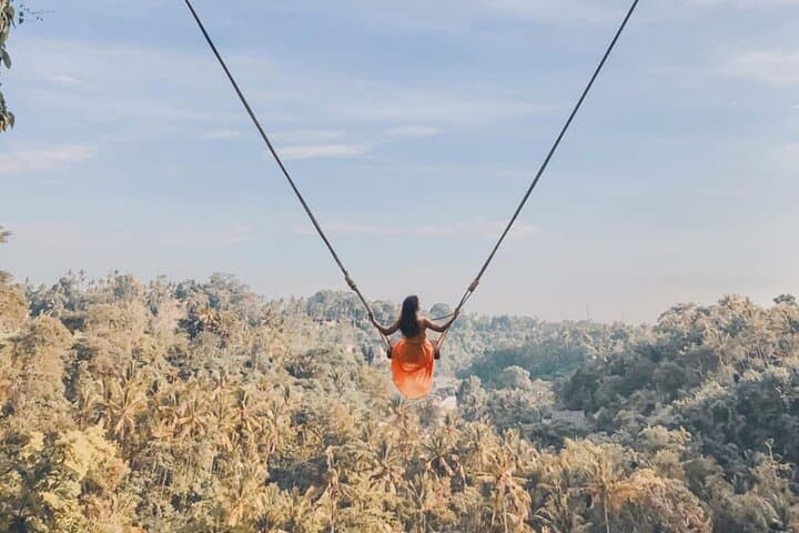 ubud-bali-swing-monkey-forest-and-waterfalls-full-day-tour photo 2