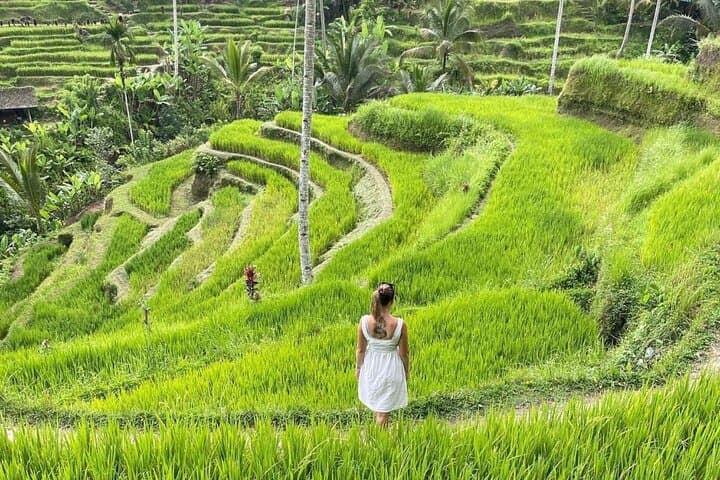 ubud-bali-swing-monkey-forest-and-waterfalls-full-day-tour photo 3