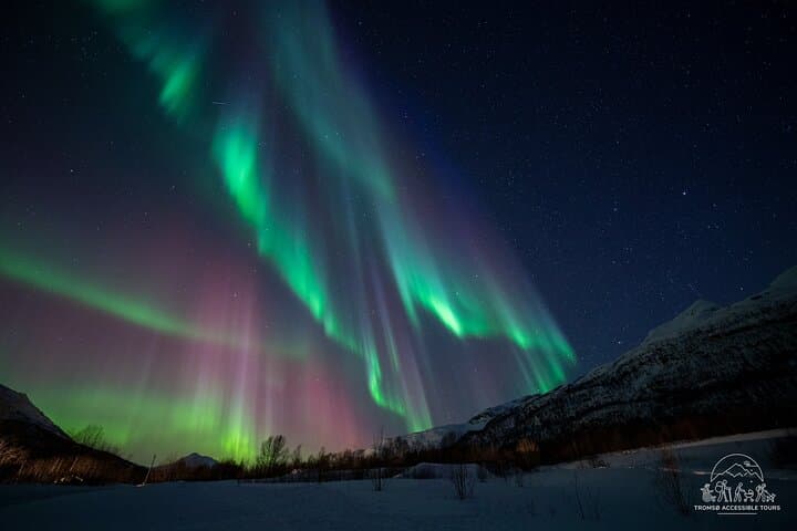 Tromsø Aurora Tour for All: Accessible Northern Lights Chase photo 5