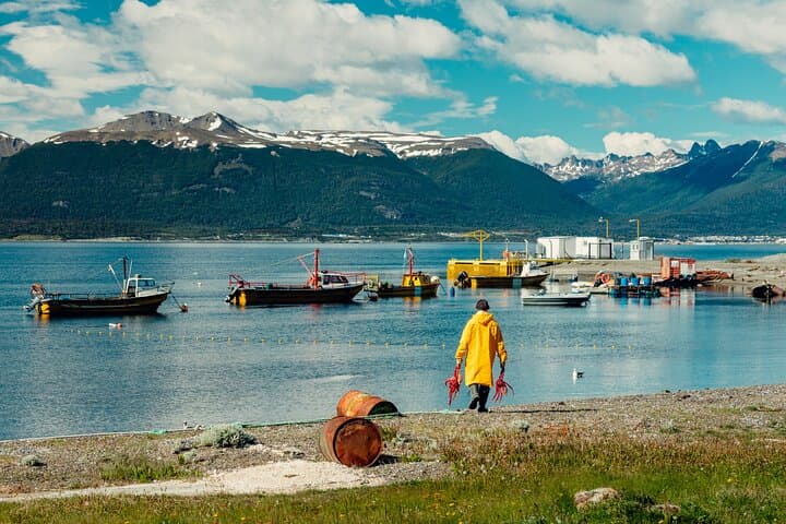 Penguin Watching & Centolla Route from Ushuaia — Zodiac Cruise to Isla Martillo photo 3