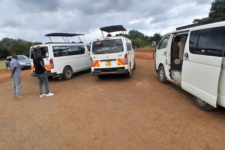 Exploring Nairobi National Park: A Half-Day Urban Safari Adventure photo 5