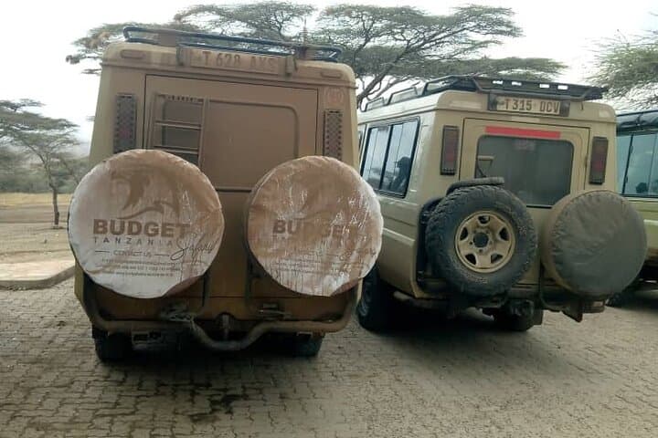 Ngorongoro Crater Day Trip: Full-Day Game Drive from Arusha photo 5