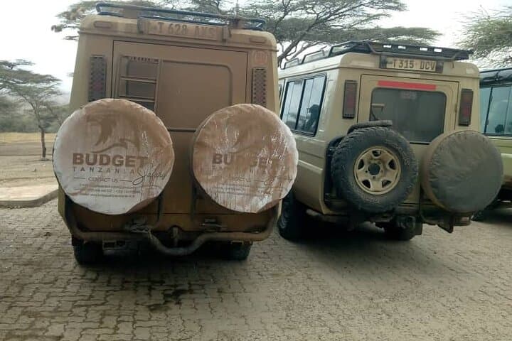 Tarangire National Park Full-Day Safari from Arusha: Elephants, Baobabs & River Game Drives photo 1