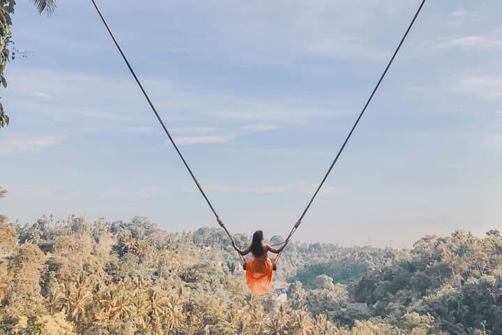 Best of Ubud: Waterfalls, Tegalalang Rice Terrace & Jungle Swing Tour photo 2