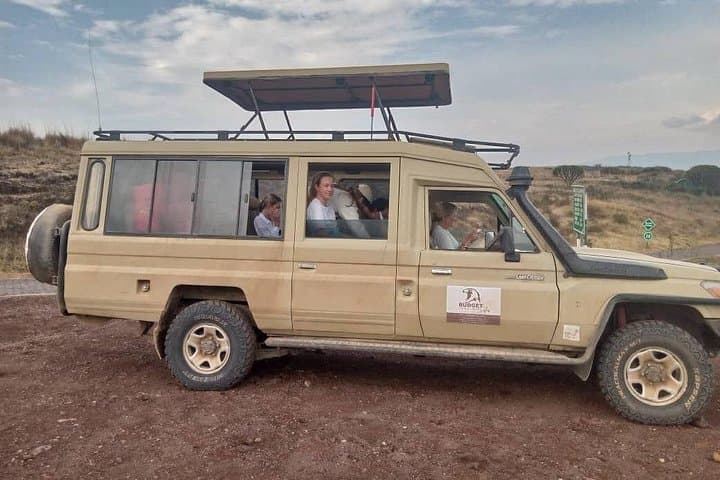 2-Day Safari: Tarangire National Park & Ngorongoro Crater Wildlife Experience photo 1