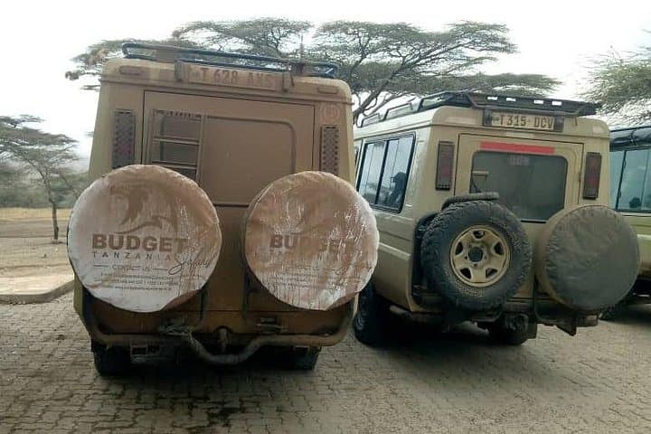 2-Day Safari: Tarangire National Park & Ngorongoro Crater Wildlife Experience photo 3