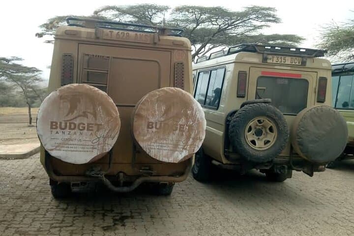 Full-Day Ngorongoro Crater Safari from Arusha: Big Five in a Living Caldera photo 2