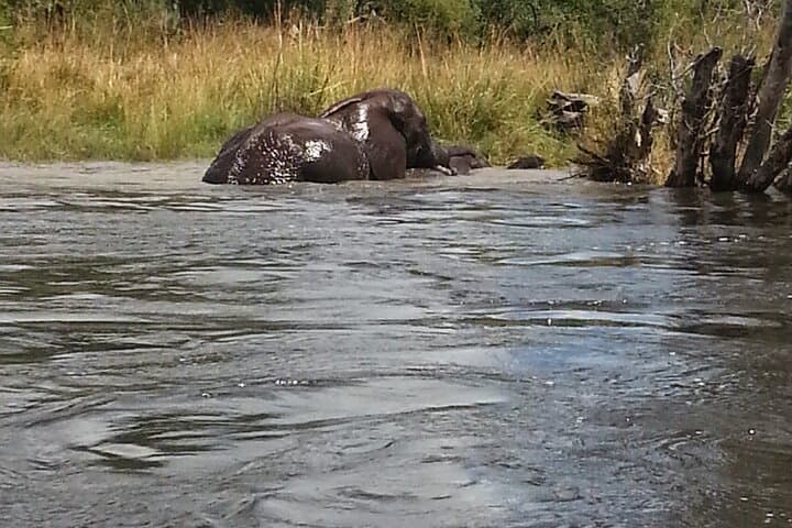 4-Day Livingstone & Chobe Safari: Victoria Falls, Zambezi Sunset Cruise and Chobe Game Drives photo 4