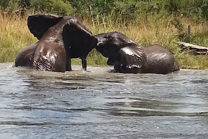4-Day Livingstone & Chobe Safari: Victoria Falls, Zambezi Sunset Cruise and Chobe Game Drives photo 5