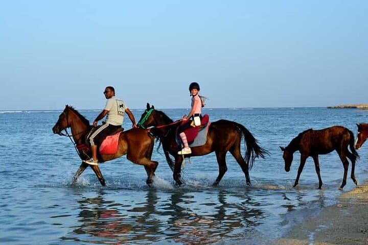 Hurghada Horseback & Camel Ride: Desert Dunes to Seashore in 2 Hours photo 2