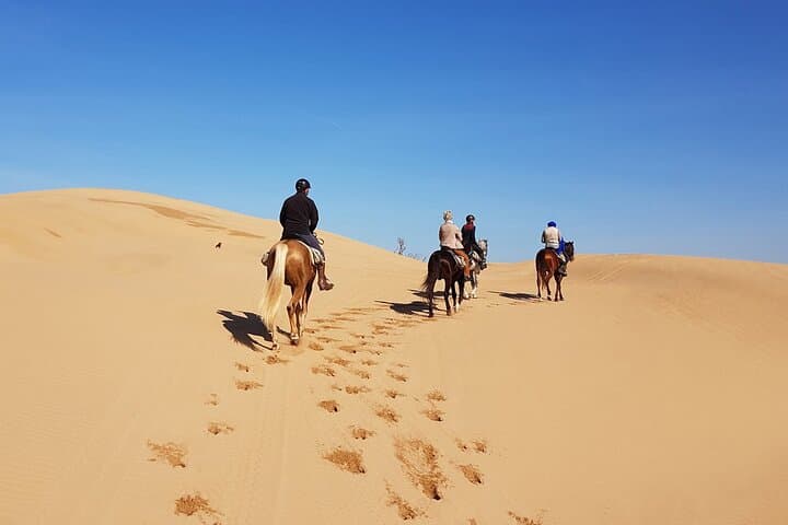 Hurghada Horseback & Camel Ride: Desert Dunes to Seashore in 2 Hours photo 3
