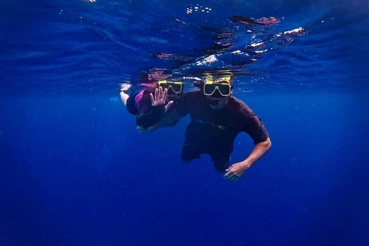 Bonaire Guided Snorkel: 3-Hour Underwater Adventure to See Turtles and Reefs