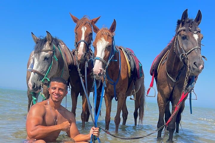 Hurghada Desert-to-Sea Horseback Adventure Along the Red Sea photo 1