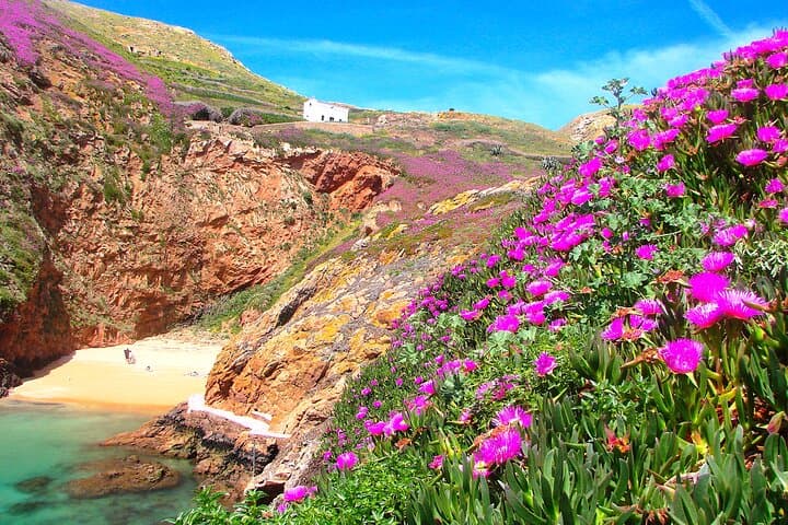 Berlengas Island Catamaran Tour and Snorkeling from Peniche photo 4