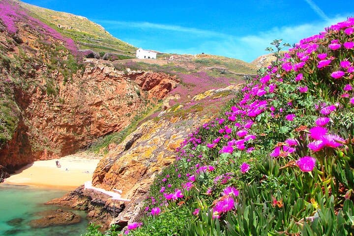 Catamaran to Berlenga Island: Half-Day Caves, Lighthouse & Coastal Hikes from Peniche photo 4