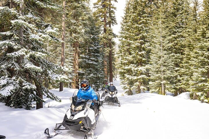 Tahoe Summit Snowmobiling: Exploring Hope Valley’s Winter Backcountry photo 5
