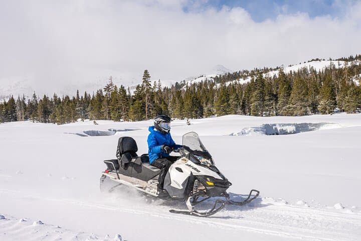 Tahoe Summit Snowmobiling: Exploring Hope Valley’s Winter Backcountry photo 6
