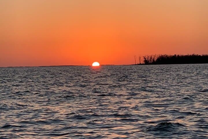 Everglades Sunset Charter: Private Gulf Cruise from Naples with Dolphins & Manatees