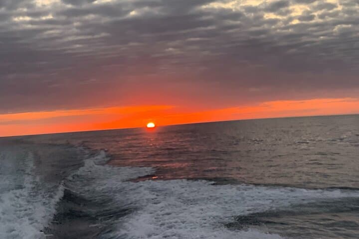 Everglades Sunset Charter: Private Gulf Cruise from Naples with Dolphins & Manatees photo 2