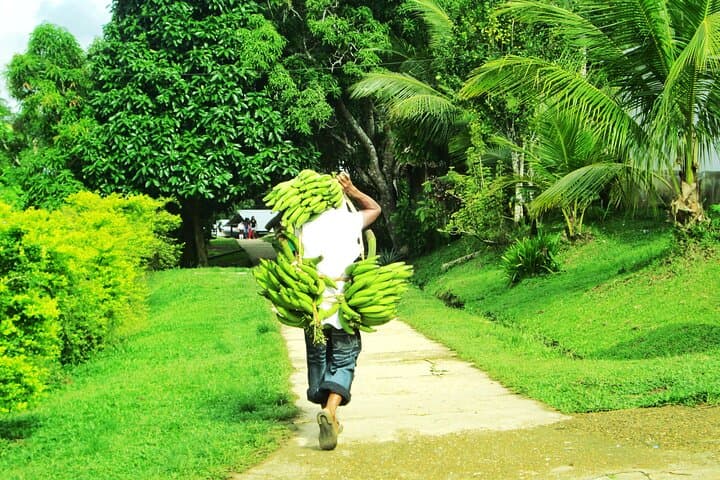 Private Amazonas Tour from Leticia — Ticuna Villages, Pink Dolphins & Monkey Rescue photo 4
