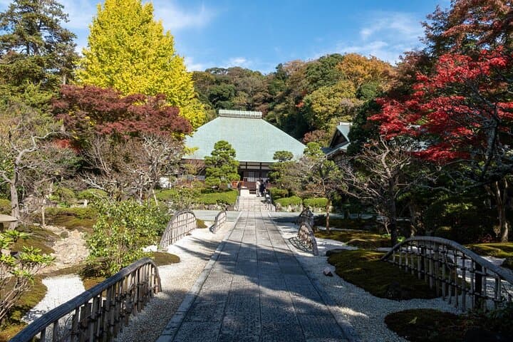 Kamakura Private Matcha Tea Tasting & Photographer-Led Photo Tour