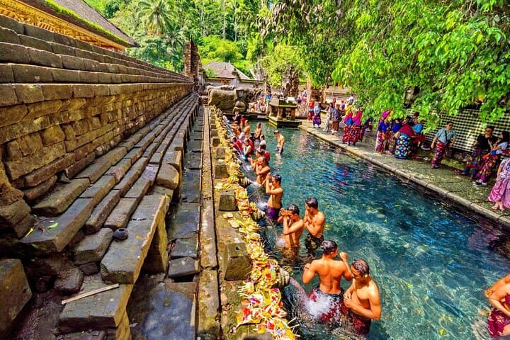 Full-Day Ubud Private Tour: Monkeys, Rice Terraces & Sacred Temples photo 5