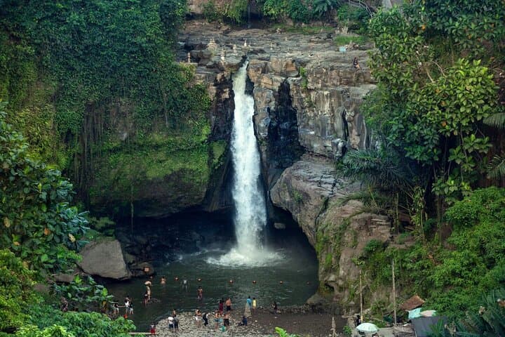 Full-Day Ubud Private Tour: Monkeys, Rice Terraces & Sacred Temples photo 3