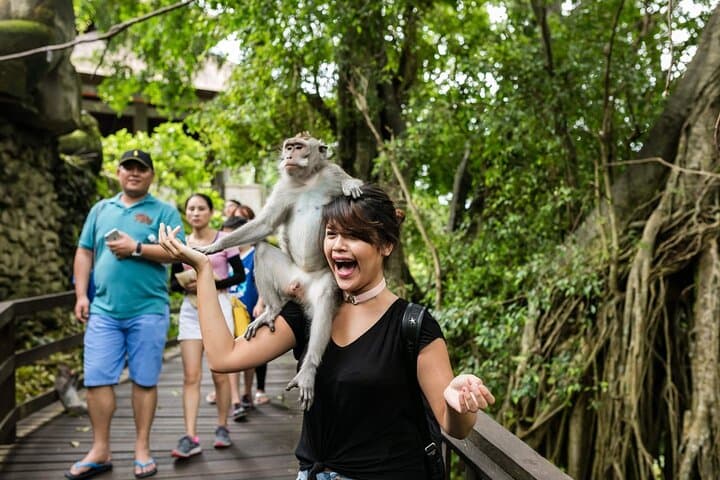 Full-Day Ubud Private Tour: Monkeys, Rice Terraces & Sacred Temples photo 2
