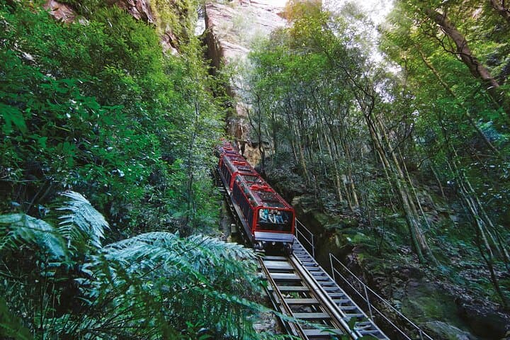 Blue Mountains Day Tour: Scenic World, Three Sisters, Katoomba & Sydney Zoo photo 1