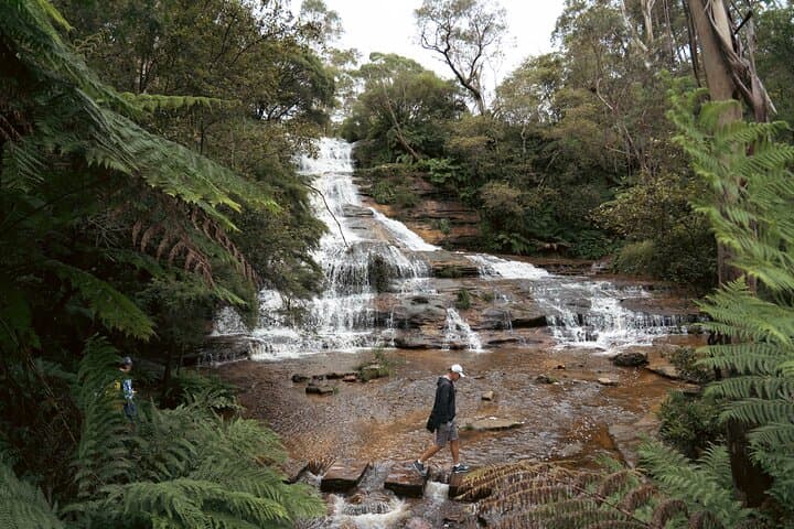 Blue Mountains Day Tour: Scenic World, Three Sisters, Katoomba & Sydney Zoo photo 3