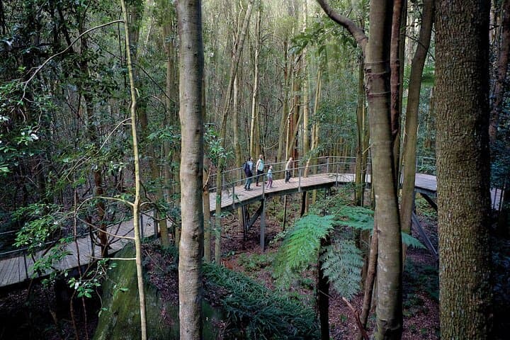Blue Mountains Day Tour: Scenic World, Three Sisters, Katoomba & Sydney Zoo photo 4