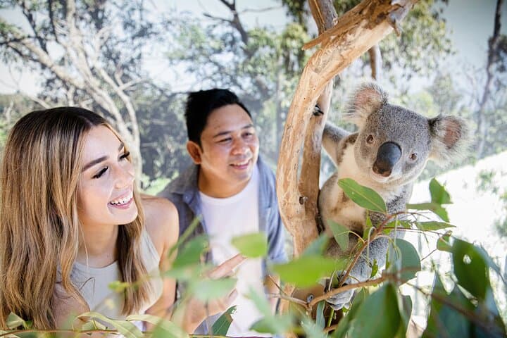 Sydney Zoo Bungarribee Wildlife Experience — Visitor Guide & Practical Tips photo 2